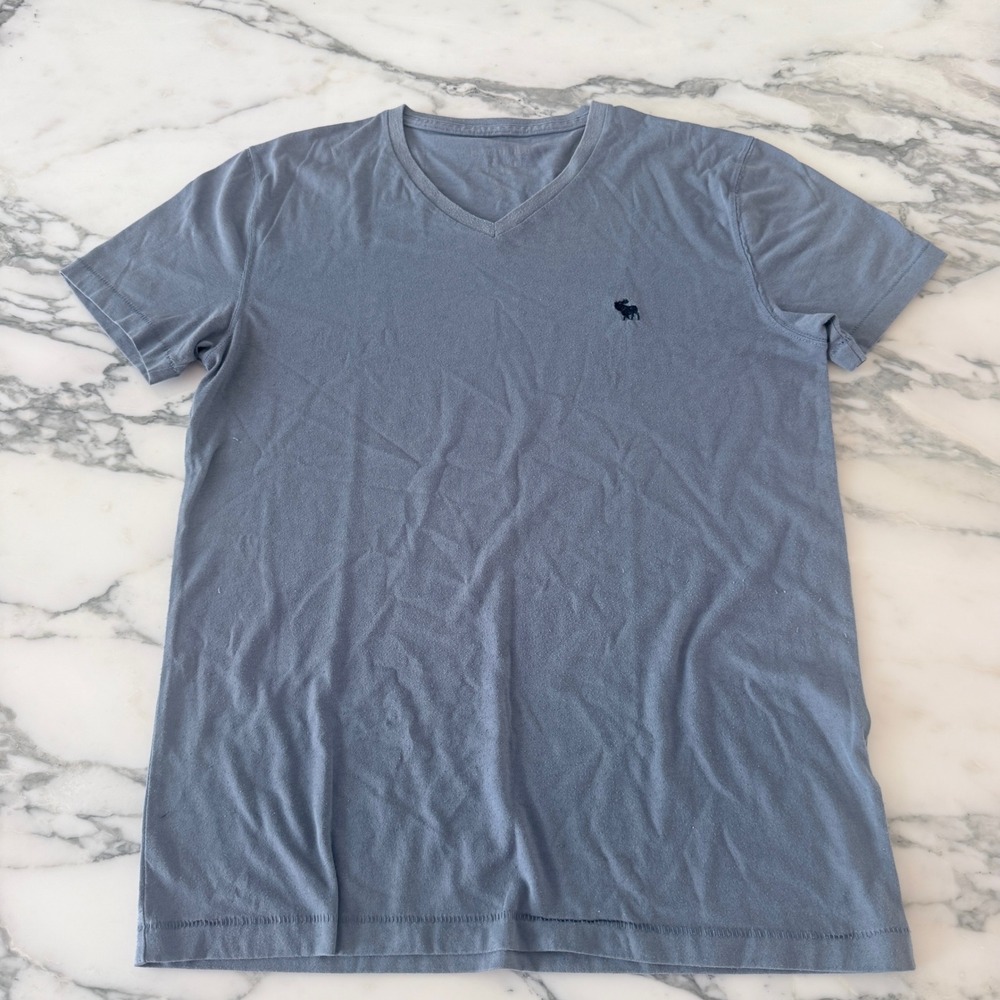Abercrombie & Fitch Mens V-Neck T-Shirt Blue Gray Moose Logo Size XS